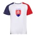 SK T-SHIRT MAN TRICOLOUR pánské triko s bambusem trikolora