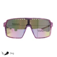 ENDURO PNK-R PUR/GRY die Sportbrille violett/grau