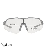 SWING CLR T-GRY die Sportbrille transparent dunkel grau