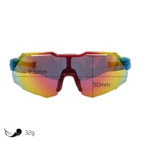 SWING RED-R RBW/BLK die Sportbrille regenbogenfarb/schwarz